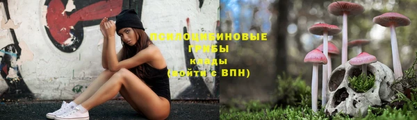 крисы Бугульма