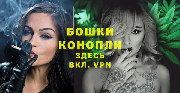 спайс Бородино