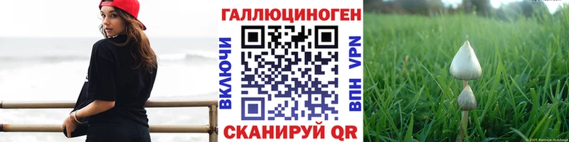 Псилоцибиновые грибы Psilocybe  Кимовск 